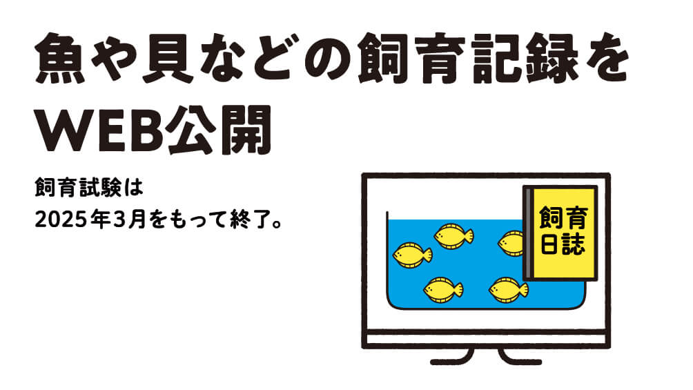 魚や貝などの飼育記録をWEB公開（飼育試験は2025年3月をもって終了）
