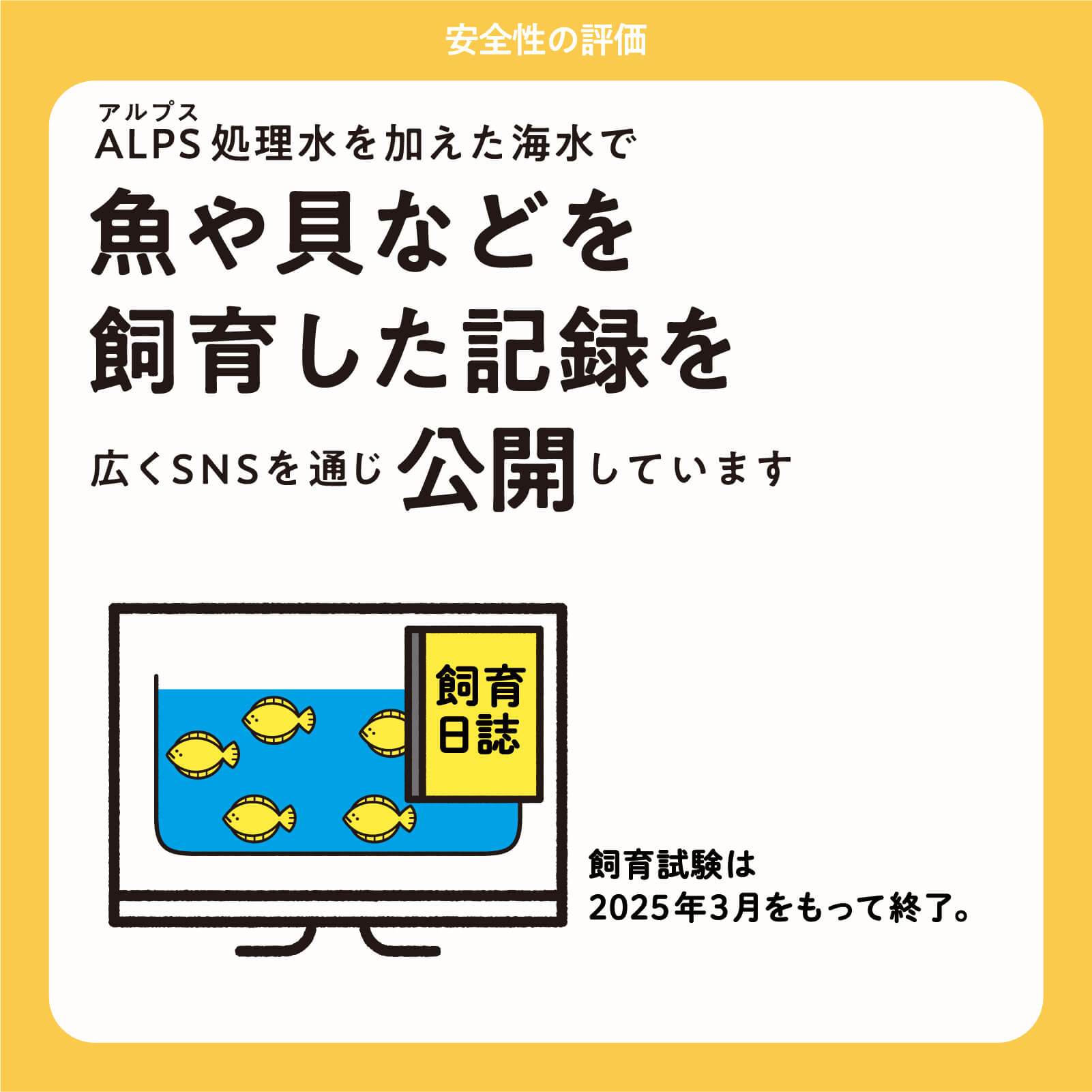 ALPS処理水を加えた海水で魚や貝などを飼育した記録を広くSNSを通じ公開しています。飼育試験は2025年3月をもって終了。