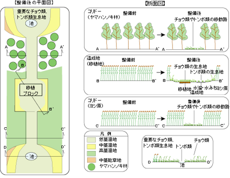 ビオトープ平面図