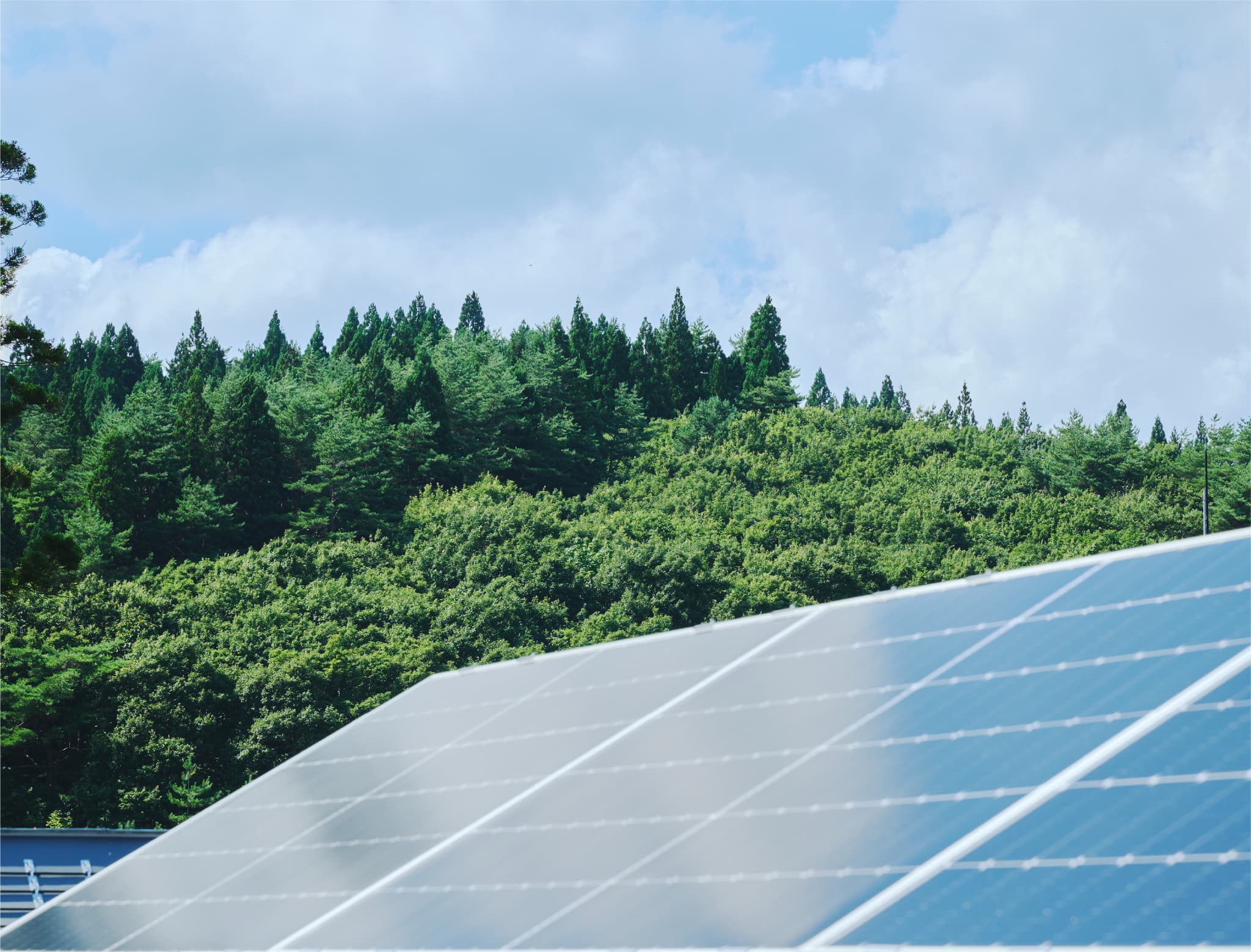 緑に囲まれた建物群の外観