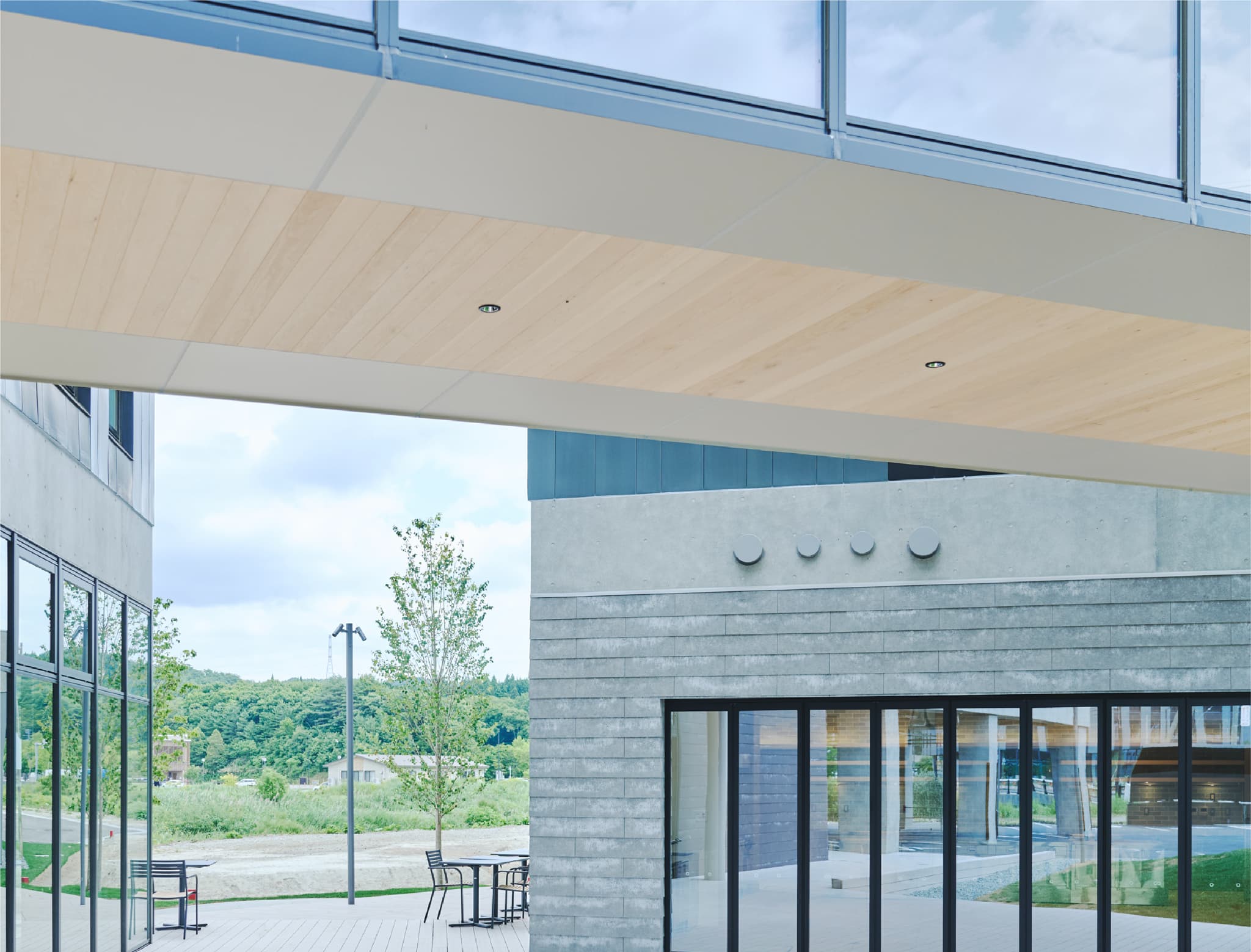 コンクリートと木材の内装、観葉植物のあるエントランスホール