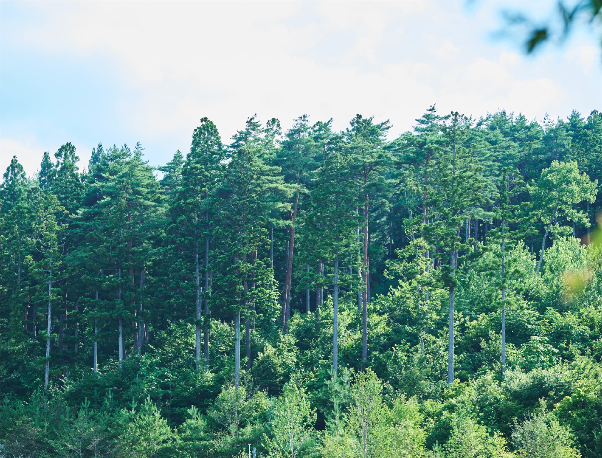 夜景の施設、暖かい光の窓が印象的な外観