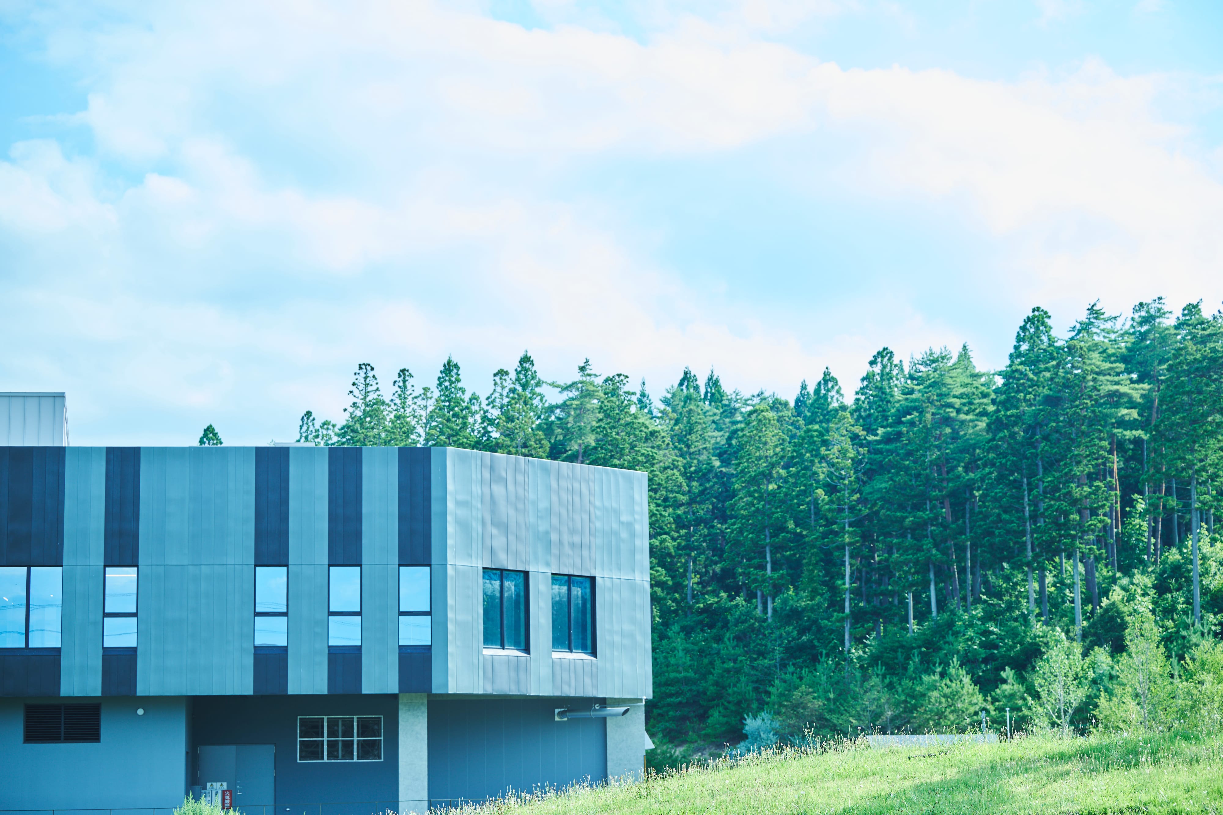 自然に囲まれた施設外観、森と青空