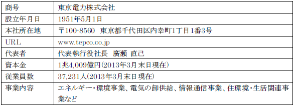 東京電力株式会社について