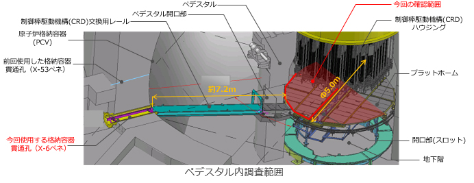 ペデスタル内調査範囲