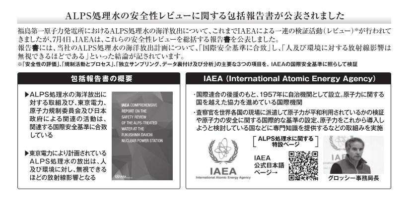 国際原子力機関（IAEA）による安全性の確認④
