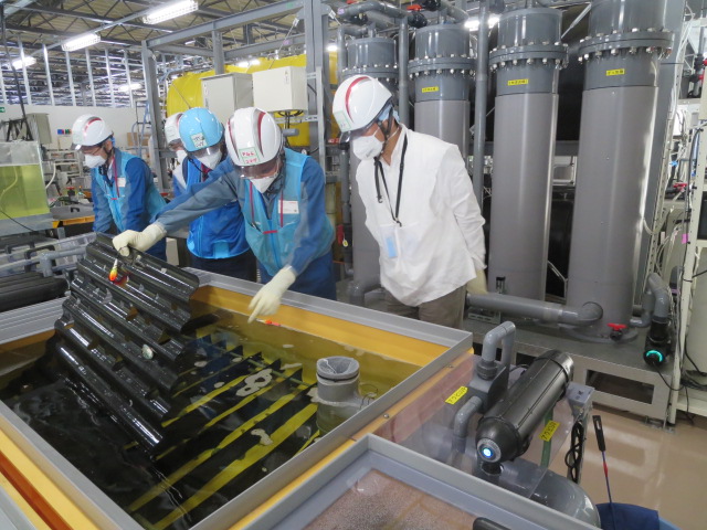 海洋生物の専門家によるヒラメ、アワビの生育状況確認