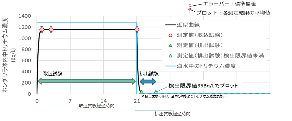 海藻のFWTの取込・排出試験結果を「海洋生物飼育日誌」で公表