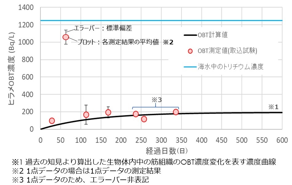 ヒラメの筋肉中のトリチウム（有機結合型トリチウム[以下OBTという]）の取込試験結果を「海洋生物飼育日誌」で公表