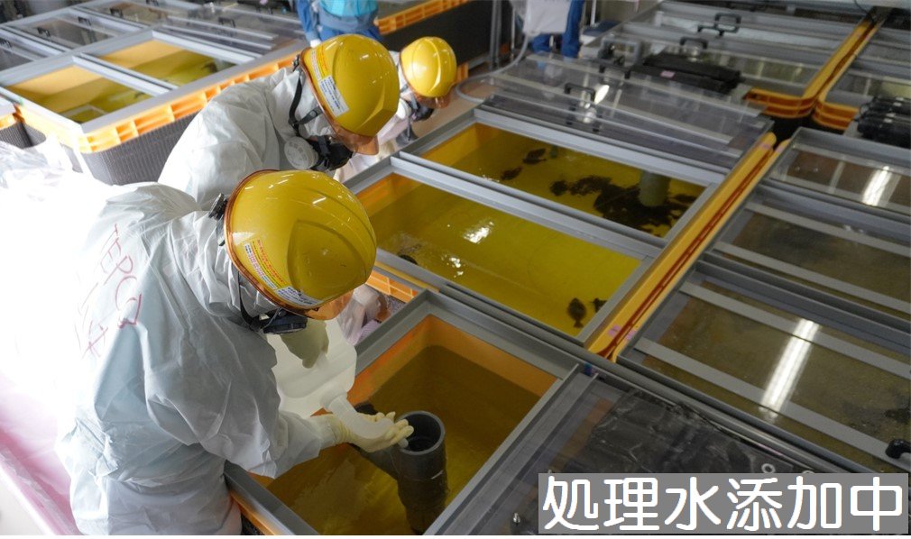 処理水添加中