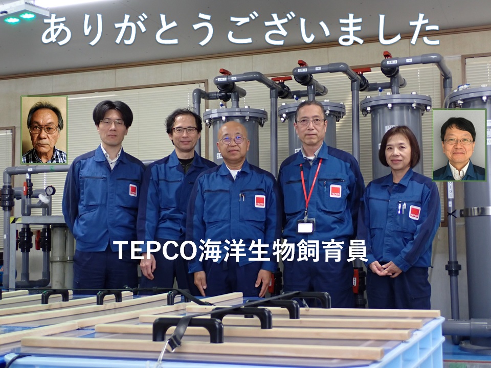 海洋生物の飼育試験 終了