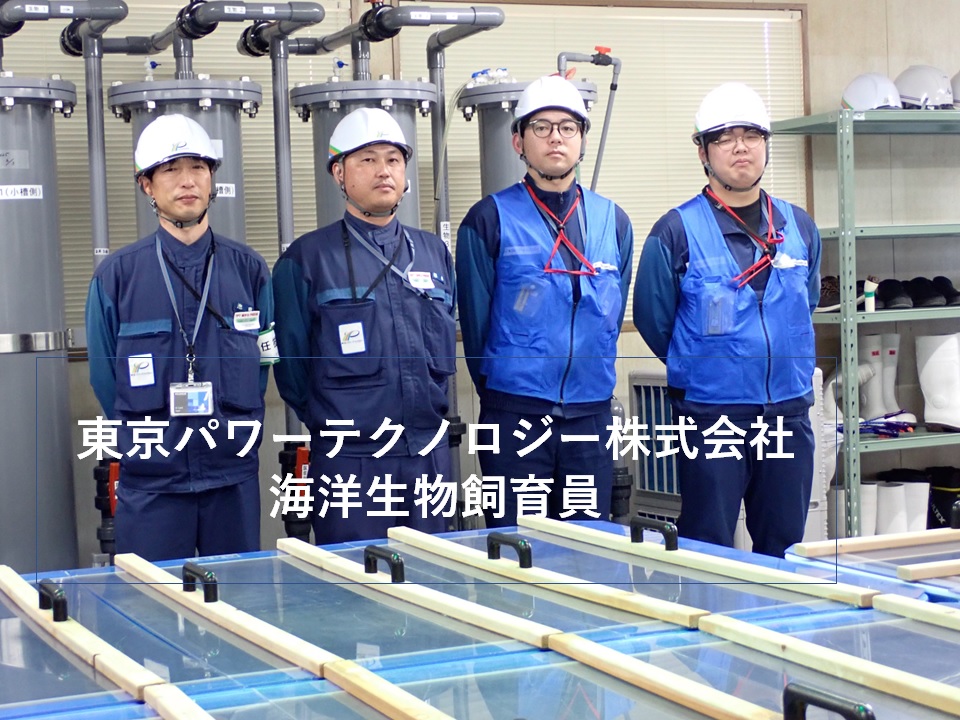 海洋生物の飼育試験 終了