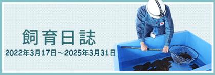 飼育日誌
