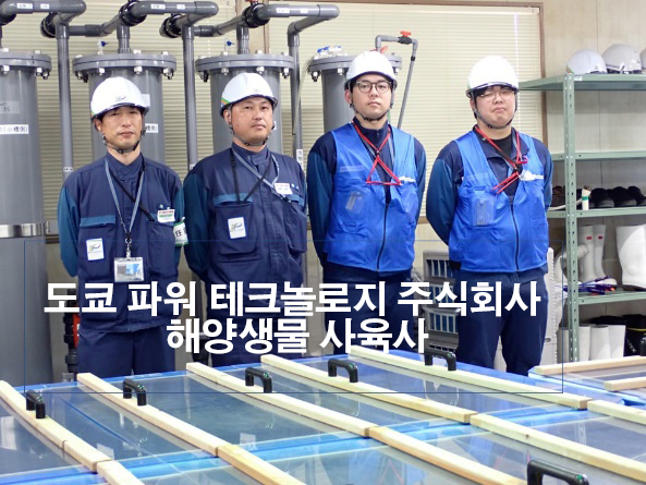 海洋生物の飼育試験 終了