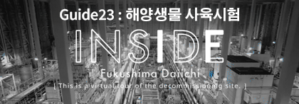 INSIDE FUKUSHIMA DAIICHI