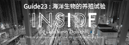 INSIDE FUKUSHIMA DAIICHI