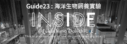 INSIDE FUKUSHIMA DAIICHI