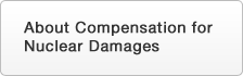 About Compensation for Nuclear Damages
