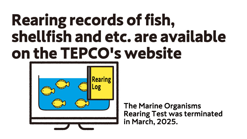 Rearing records of fish, shellfish and etc. are available on the TEPCO's website