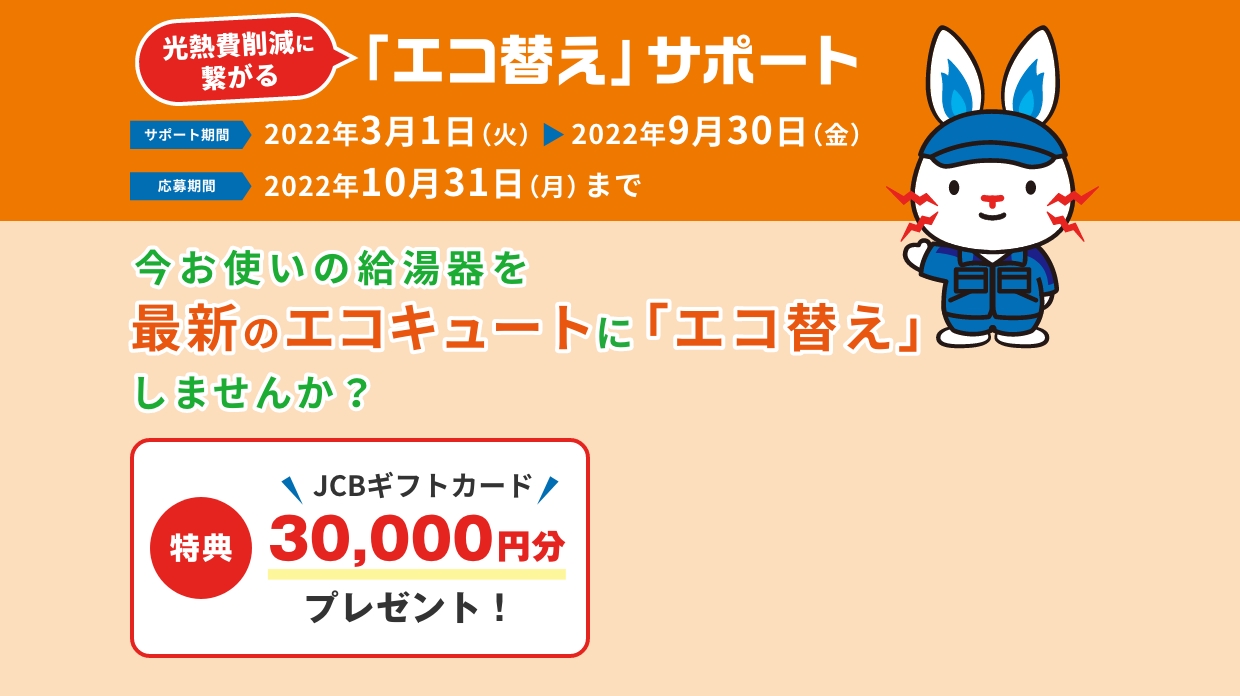 おトクなエコ替えキャンペーン