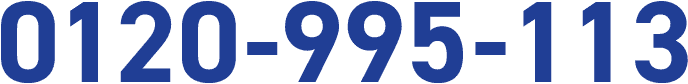0120-995-113