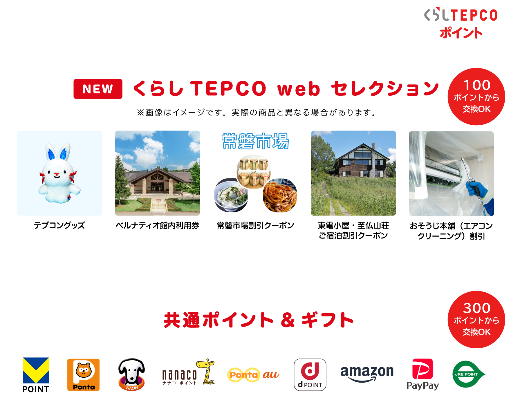 LINEが来たら「くらしTEPCO web」にログイン 毎月ポイントGET! 毎月１回のログインで50ポイントがたまるよ！ さらに長期のご利用でボーナスも！