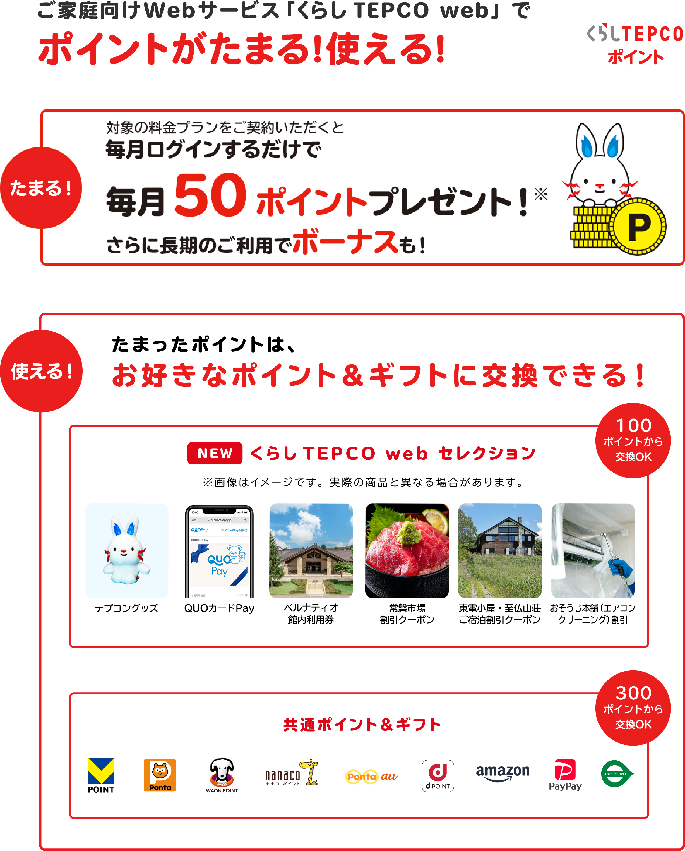ご家庭向けWebサービス「くらしTEPCO web」でポイントが貯まる！使える！