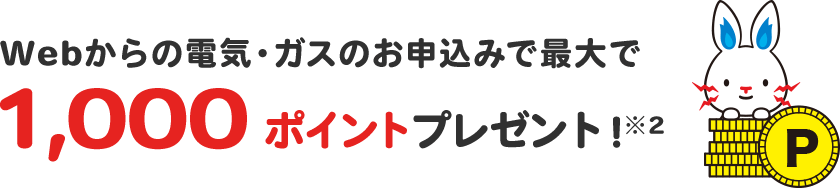 webからの電気・ガスのお申込みで最大で1,000ポイントプレゼント!