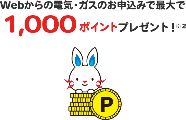Webからの電気・ガスのお申込みで最大で2,000ポイントプレゼント!
