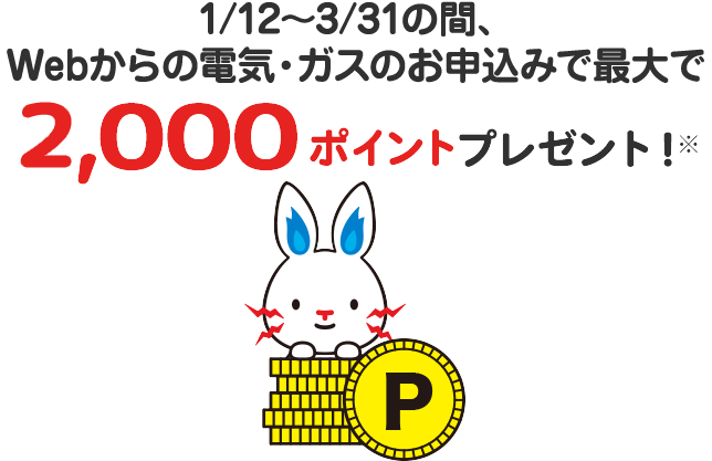 Webからのお申し込みで2000ポイントプレゼント!