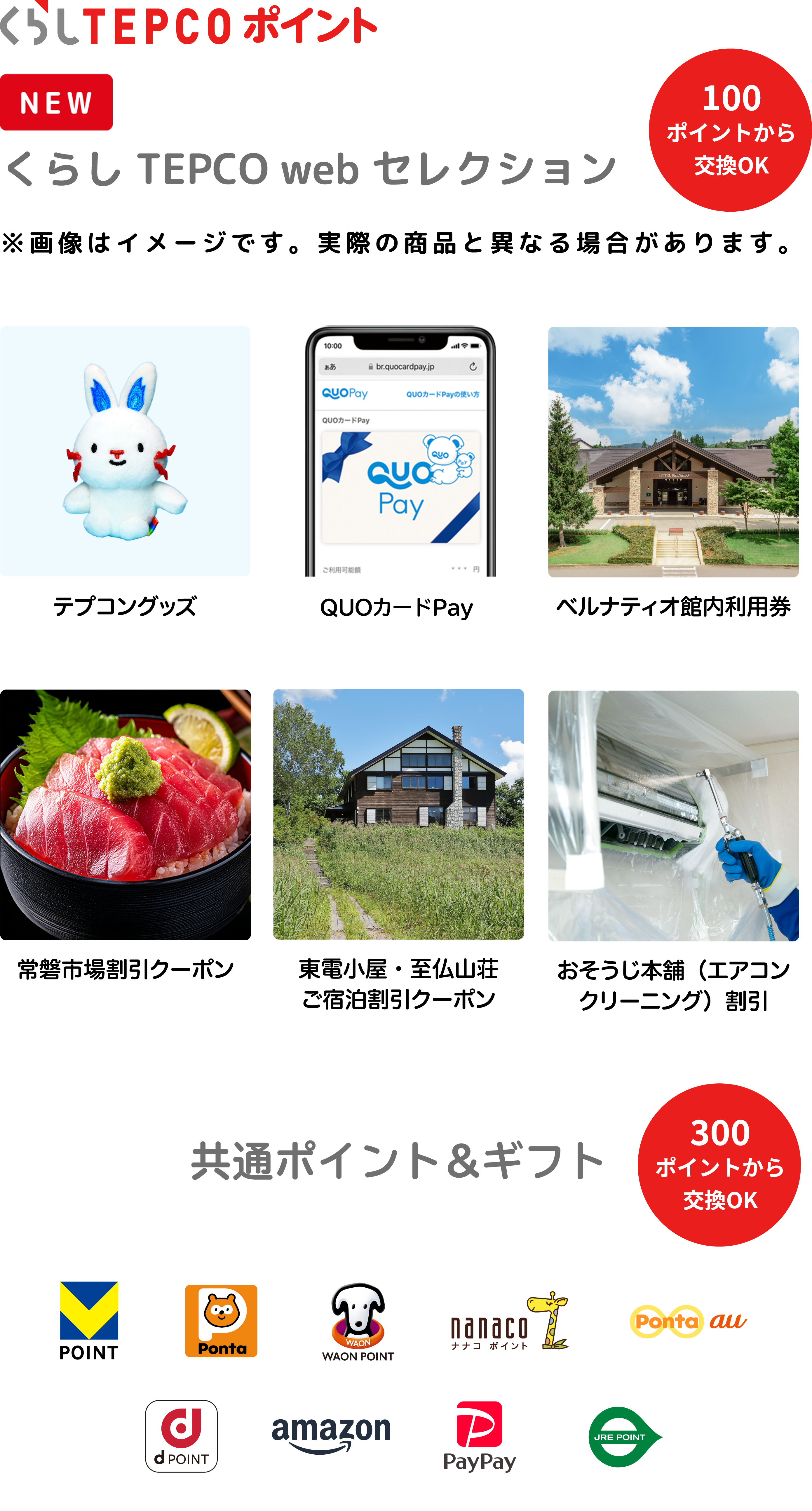 くらしTEPCOポイント（100ポイントから交換OK）くらしTEPCO web セレクション：テプコングッズ、ベルナティオ館利用権、常磐市場割引クーポン、東電小屋・至仏山荘ご宿泊割引クーポン、おそうじ本舗エアコンクリーニング割引 / 共通ポイント＆ギフト（300ポイントから交換OK）：T-POINT Ponta WAONポイント nanaco au d POINT amazonギフト券 PayPay JRE POINT