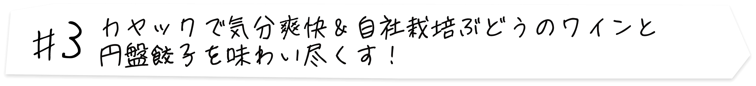 #3 カヤックで気分爽快＆自社栽培ぶどうのワインと円盤餃子を味わい尽くす！