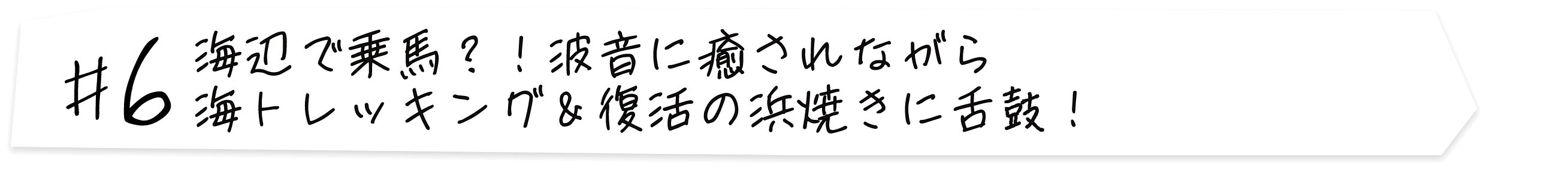 #6 海辺で乗馬？！波音に癒されながら海トレッキング＆復活の浜焼きに舌鼓！