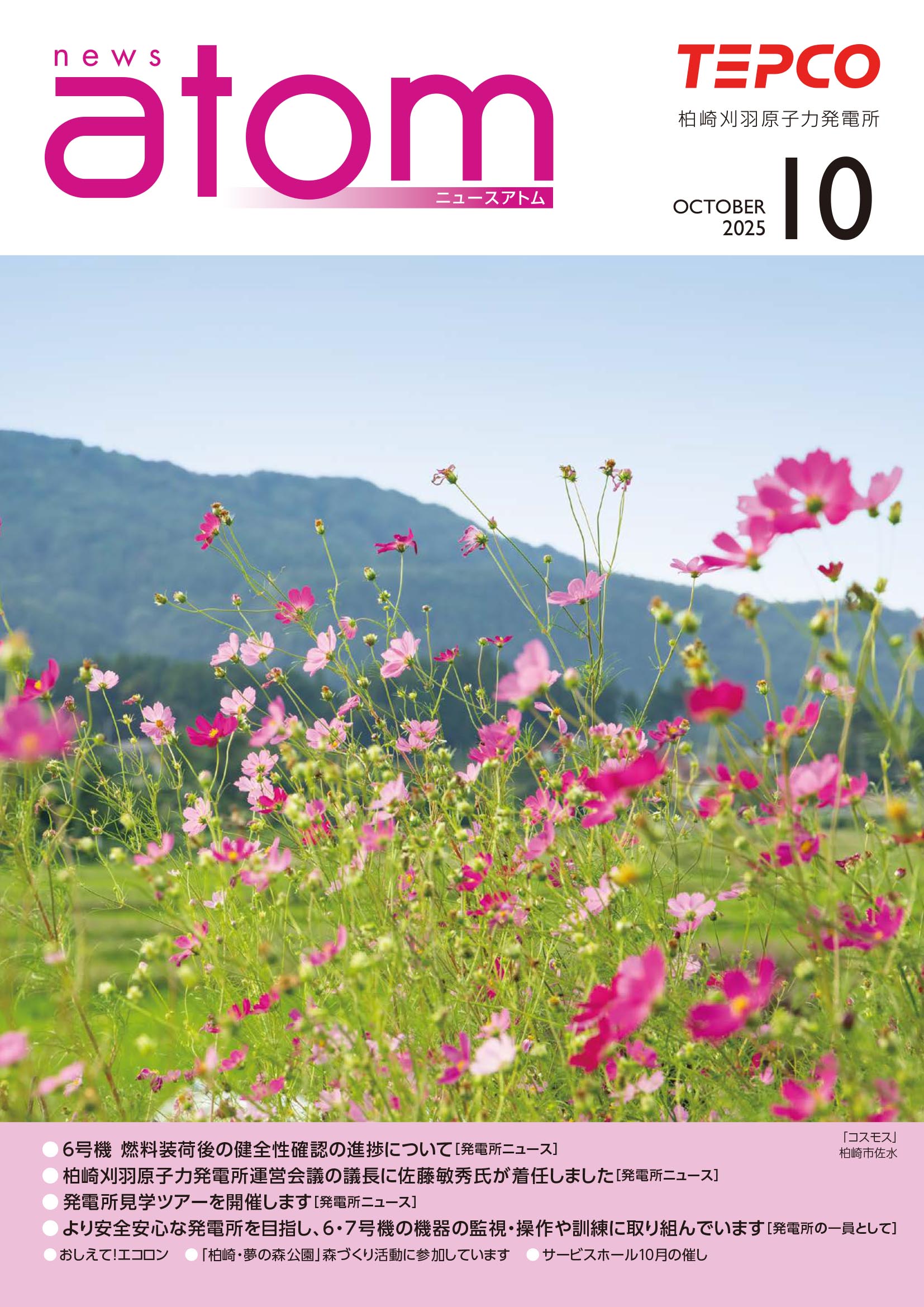 ニュースアトム10月号