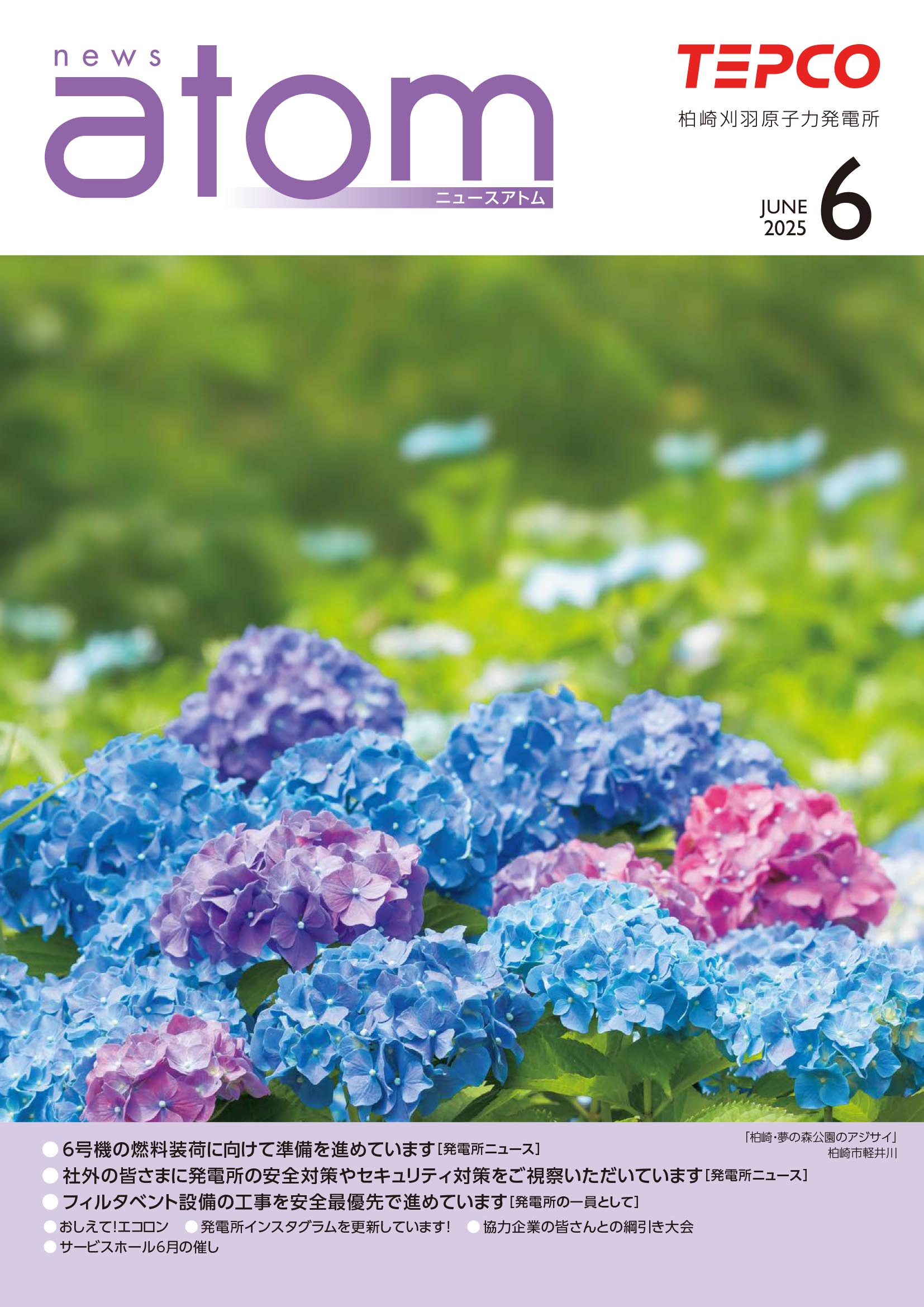 ニュースアトム6月号