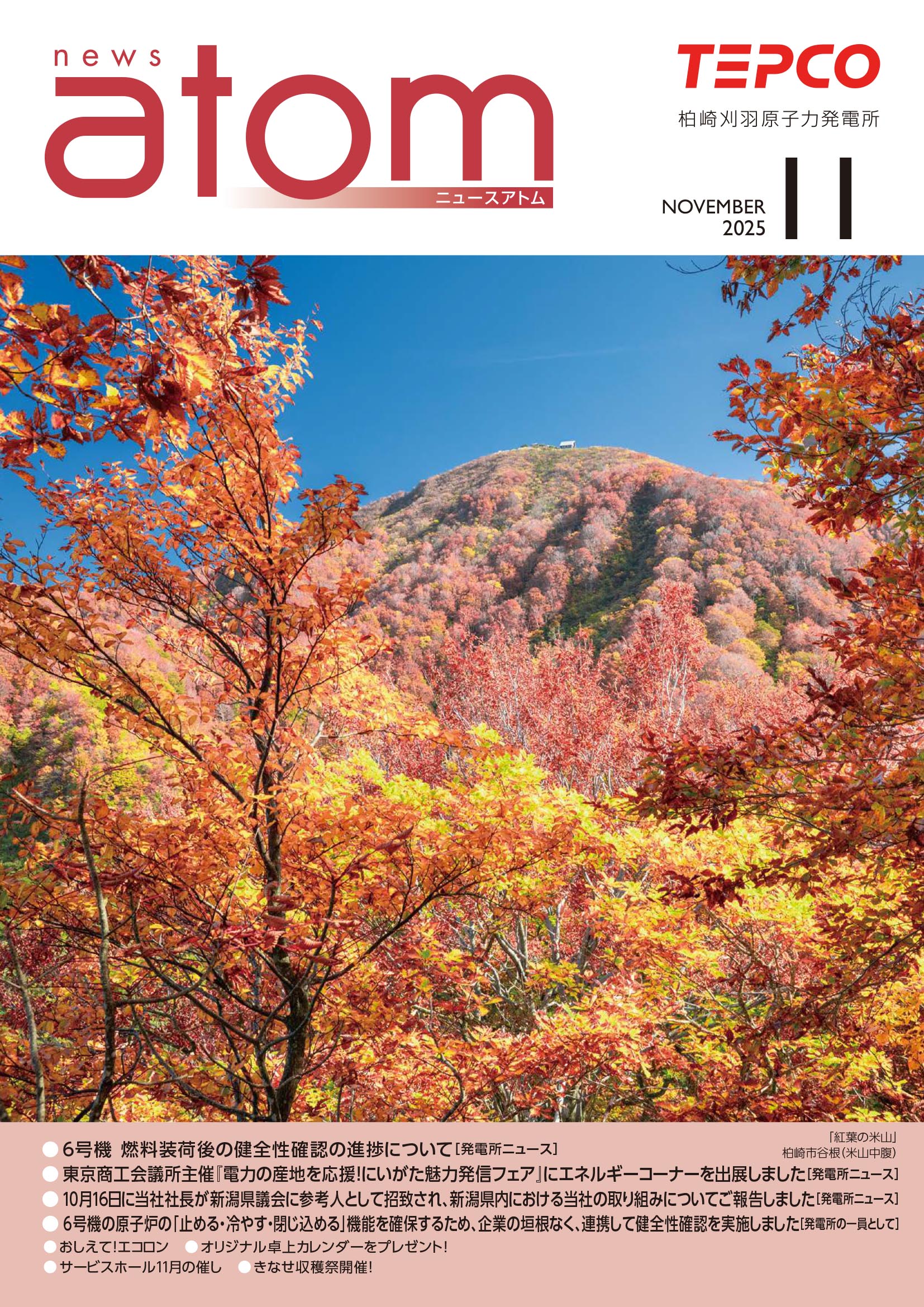 ニュースアトム11月号