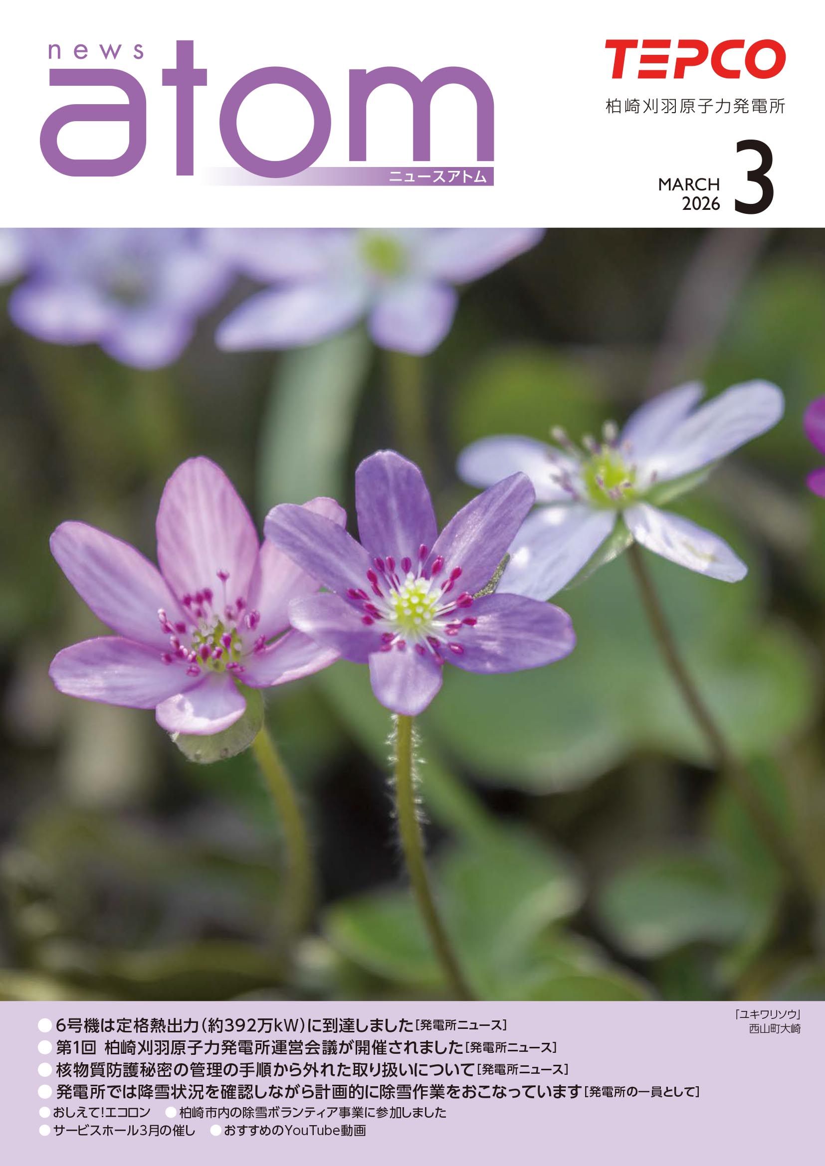 ニュースアトム3月号
