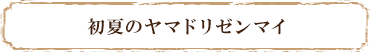 初夏のヤマドリゼンマイ