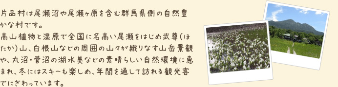 片品村は尾瀬沼や尾瀬ヶ原を含む群馬県側の自然豊かな村です。高山植物と湿原で全国に名高い尾瀬をはじめ武尊（ほたか）山、白根山などの周囲の山々が織りなす山岳景観や、丸沼・菅沼の湖水美などの素晴らしい自然環境に恵まれ、冬にはスキーも楽しめ、年間を通して訪れる観光客でにぎわっています。