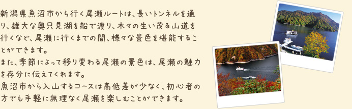 新潟県魚沼市から行く尾瀬ルートは、長いトンネルを通り、雄大な奥只見湖を船で渡り、木々の生い茂る山道を行くなど、尾瀬に行くまでの間、様々な景色を堪能することができます。 また、季節によって移り変わる尾瀬の景色は、尾瀬の魅力を存分に伝えてくれます。魚沼市から入山するコースは高低差が少なく、初心者の方でも手軽に無理なく尾瀬を楽しむことができます。