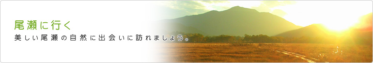 尾瀬に行く 美しい尾瀬の自然に出会いに訪れましょう。