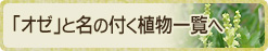「オゼ」と名の付く植物一覧へ