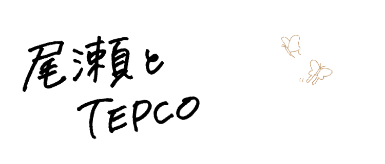 尾瀬とTEPCO