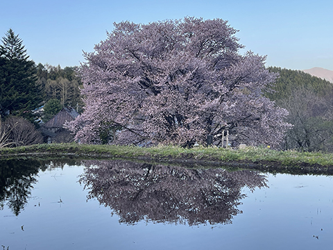 写真01