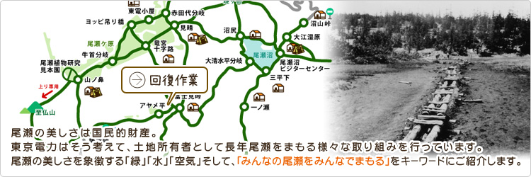 尾瀬の美しさは国民的財産。東京電力はそう考えて、土地所有者として長年尾瀬をまもる様々な取り組みを行っています。尾瀬の美しさを象徴する「緑」「水」「空気」そして、「みんなの尾瀬をみんなでまもる」をキーワードにご紹介します。