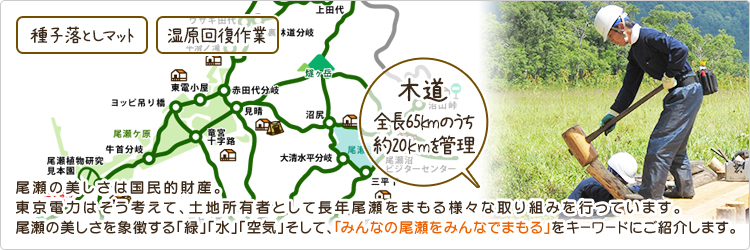 尾瀬の美しさは国民的財産。東京電力はそう考えて、土地所有者として長年尾瀬をまもる様々な取り組みを行っています。尾瀬の美しさを象徴する「緑」「水」「空気」そして、「みんなの尾瀬をみんなでまもる」をキーワードにご紹介します。