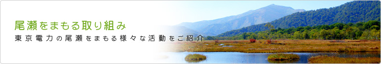 尾瀬をまもる取り組み 東京電力の尾瀬をまもる様々な活動をご紹介