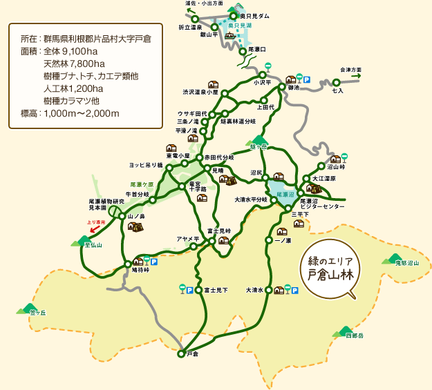 所在：群馬県利根郡片品村大字戸倉 面積：全体9,100ha（天然林 7,800ha 樹種ブナ、トチ、カエデ類他 人工林1,200ha 樹種カラマツ他） 標高：1,000m 2,000m