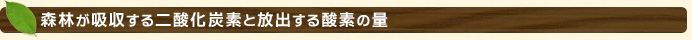 森林が吸収する二酸化炭素と放出する酸素の量