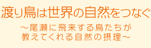 渡り鳥は世界の自然をつなぐ～尾瀬に飛来する鳥たちが教えてくれる自然の摂理～